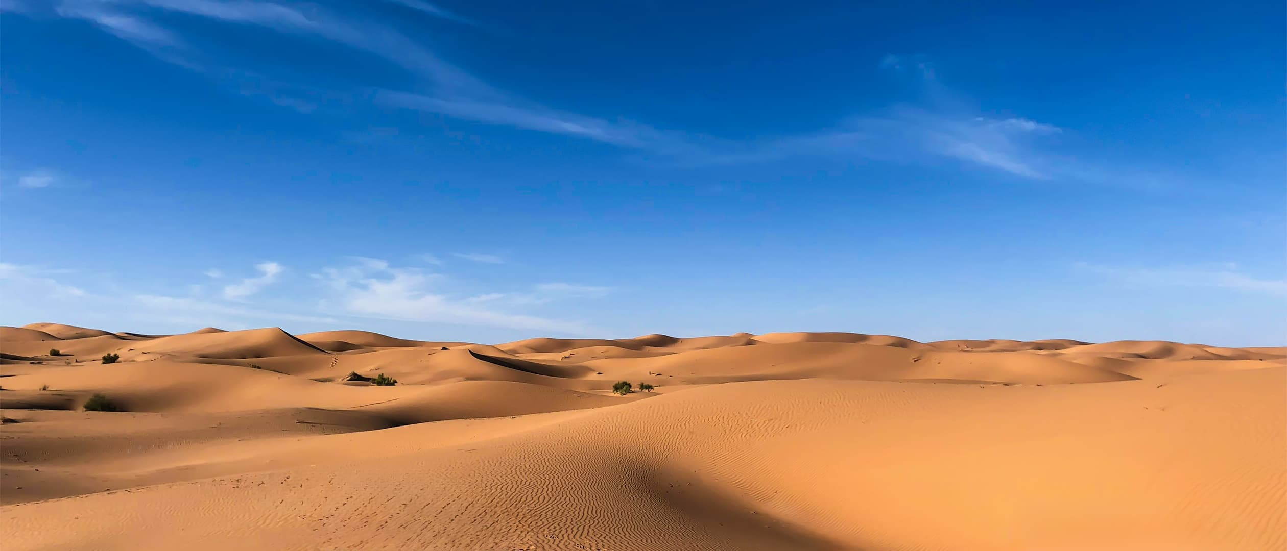 Egypt - Tracway