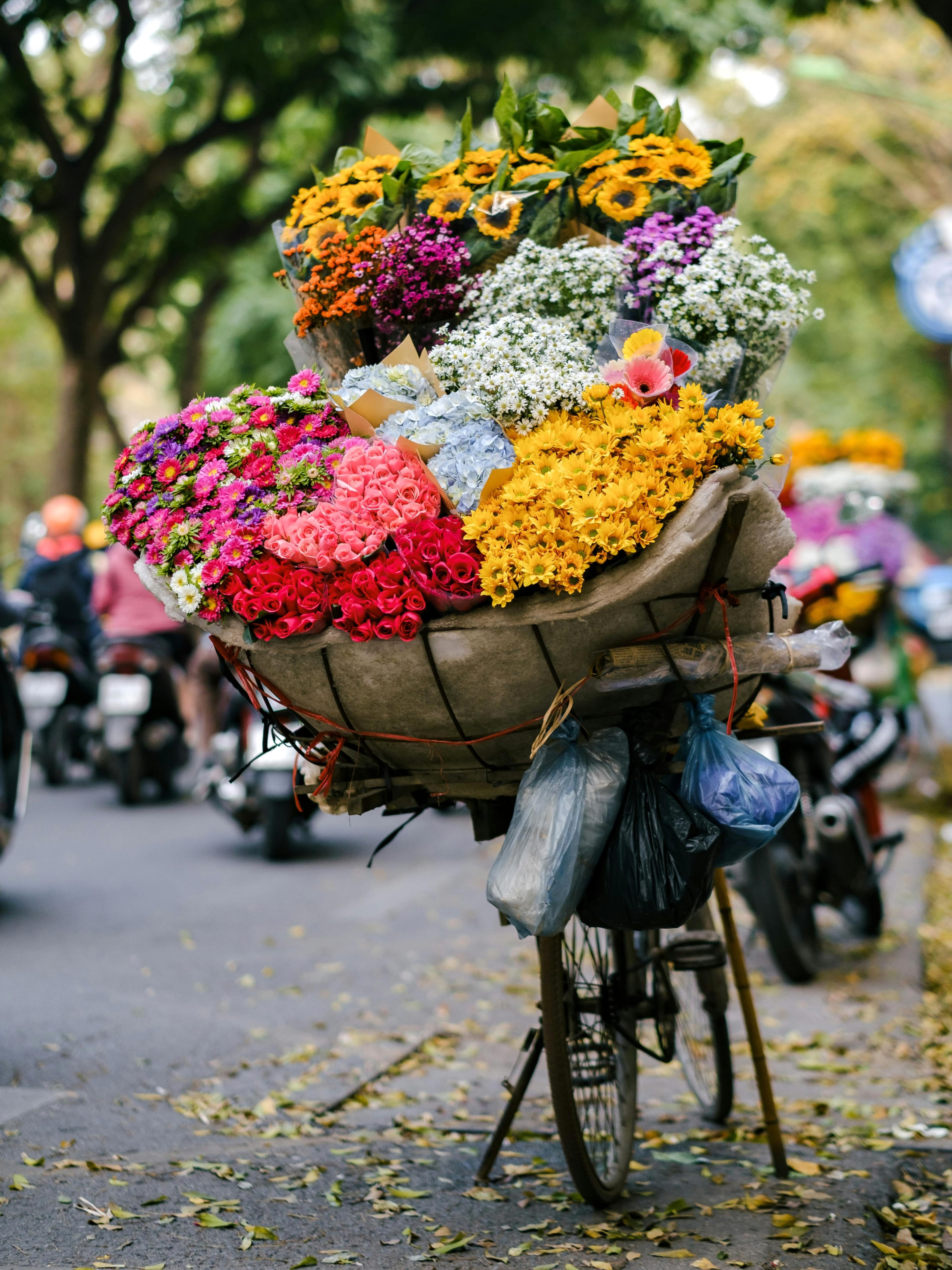 Hanoi