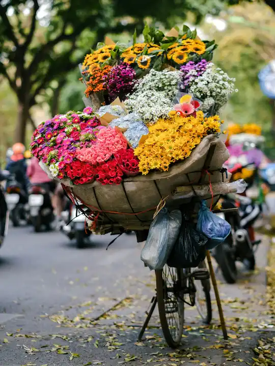 Hanoi