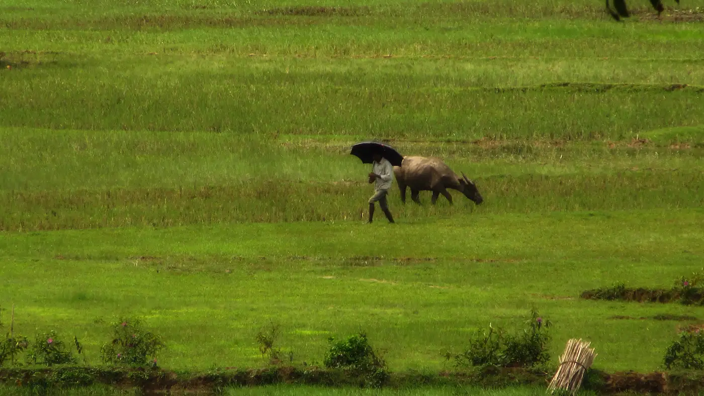 In the Heart of Stillness: A Cultural Escape to Bhanugach image 3
