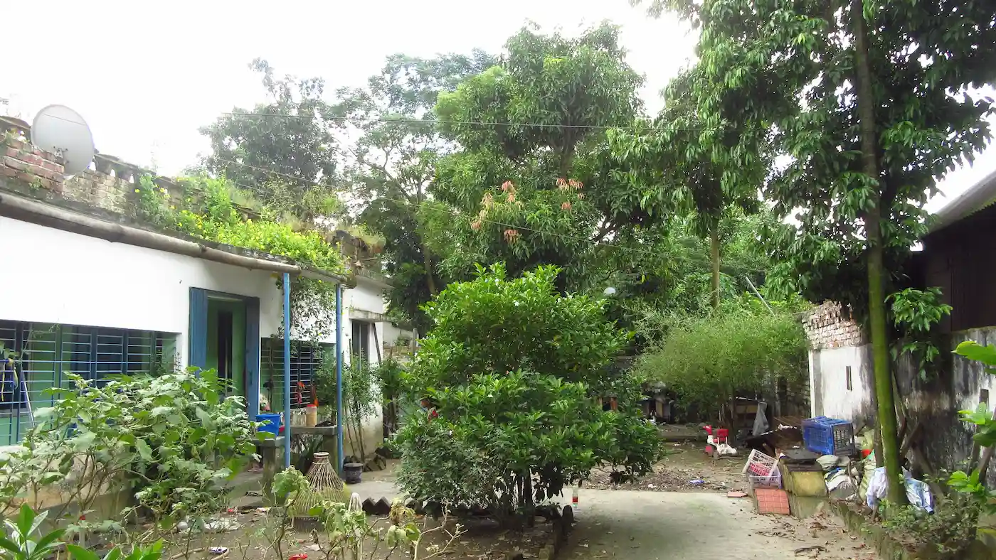 Shiulitola Homestay - A Home Rooted in Culture image 5