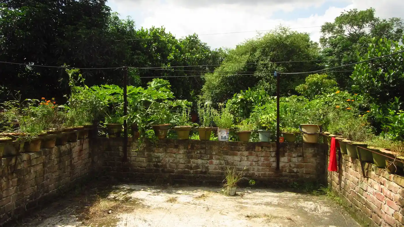 Shiulitola Homestay - A Home Rooted in Culture image 3