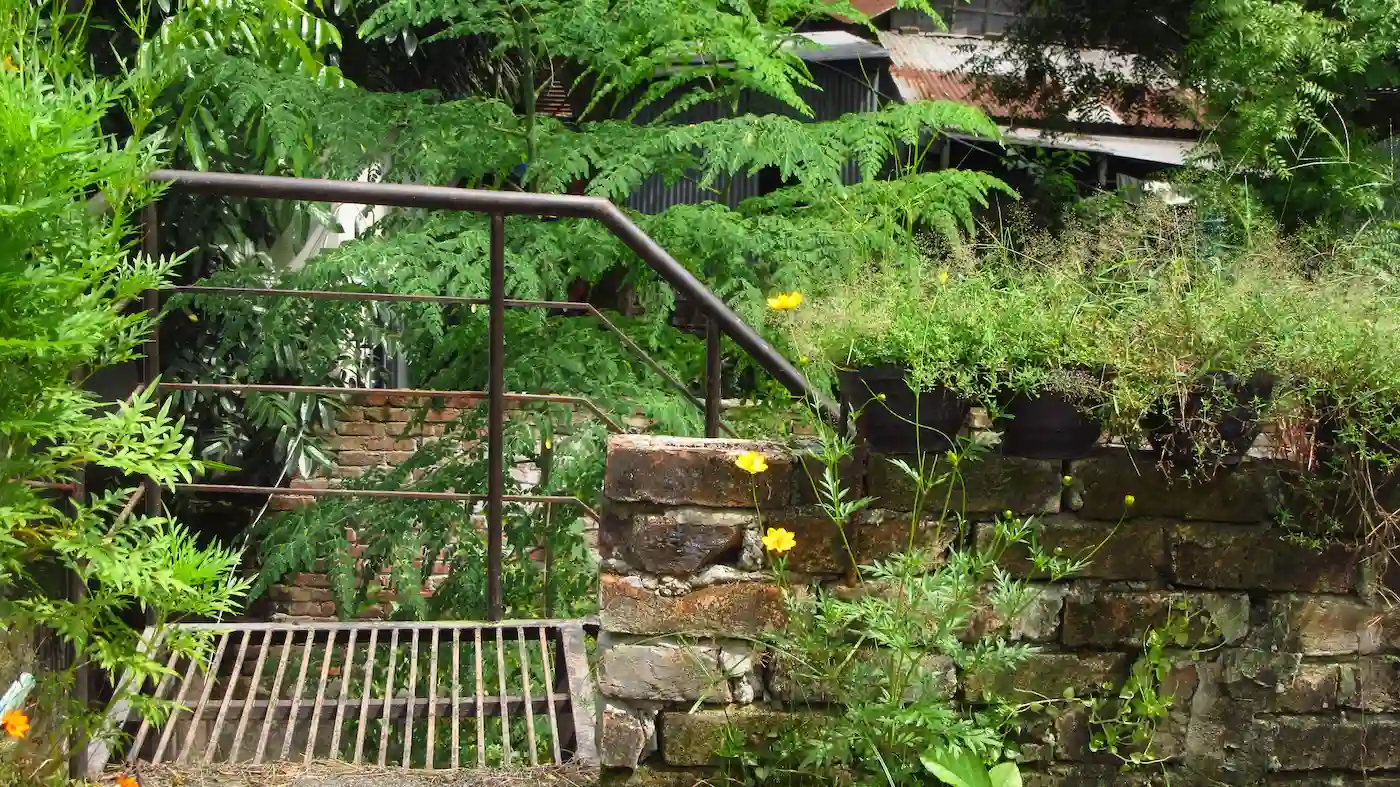 Shiulitola Homestay - A Home Rooted in Culture image 8