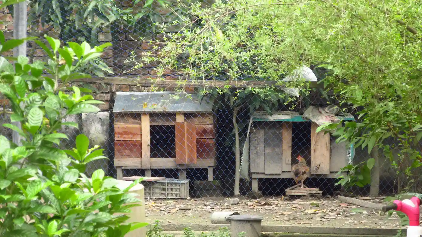 Shiulitola Homestay - A Home Rooted in Culture image 6