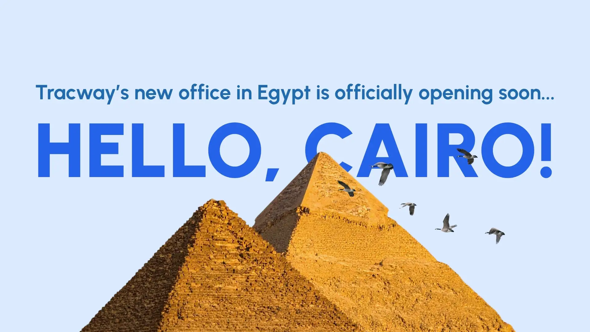 Tracway Big News: Tracway is Landing in the Land of the Pharaohs! New Cairo Office Coming Soon page background