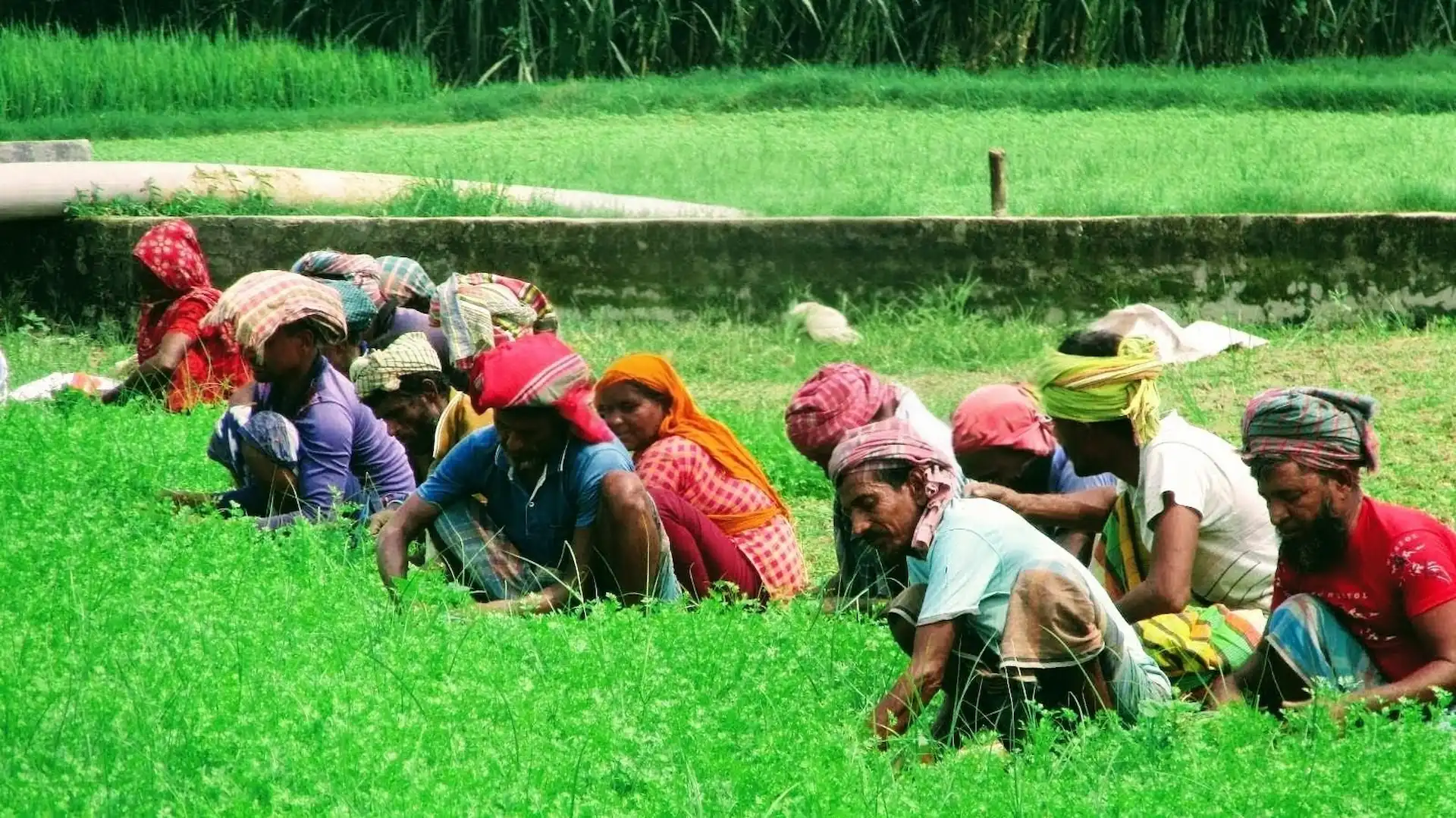 Shiulitola Homestay - A Home Rooted in Culture image 2