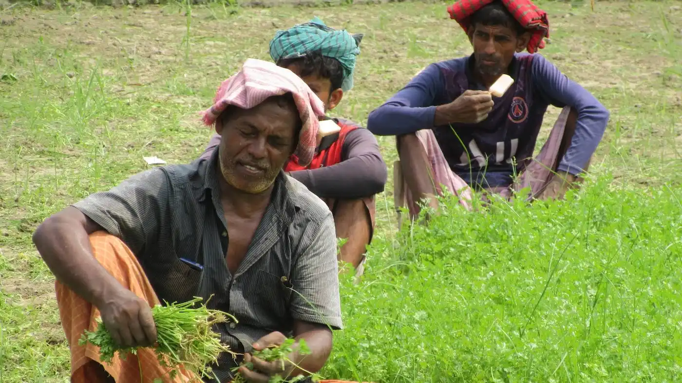 Shiulitola Homestay - A Home Rooted in Culture image 4